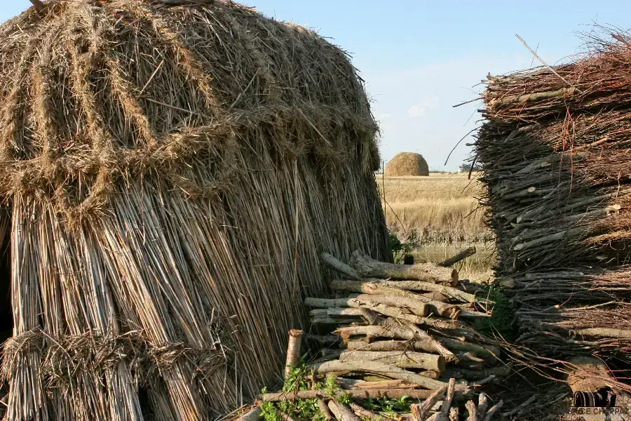 Marais Poitevin – passage sous une voûte végétale en barque